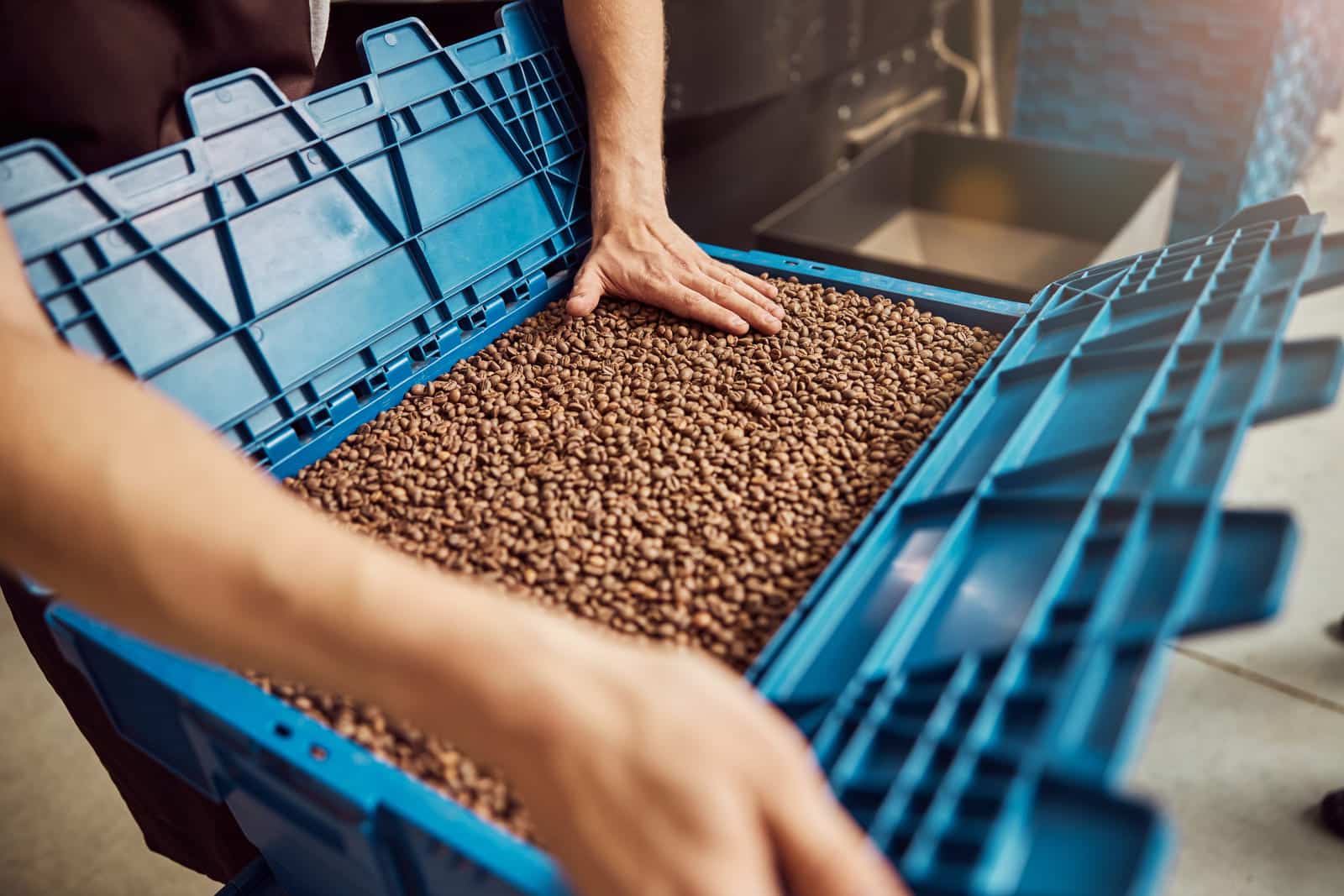 Unveiling Modern Mastery: Advancements in Coffee Processing for Quality and Efficiency